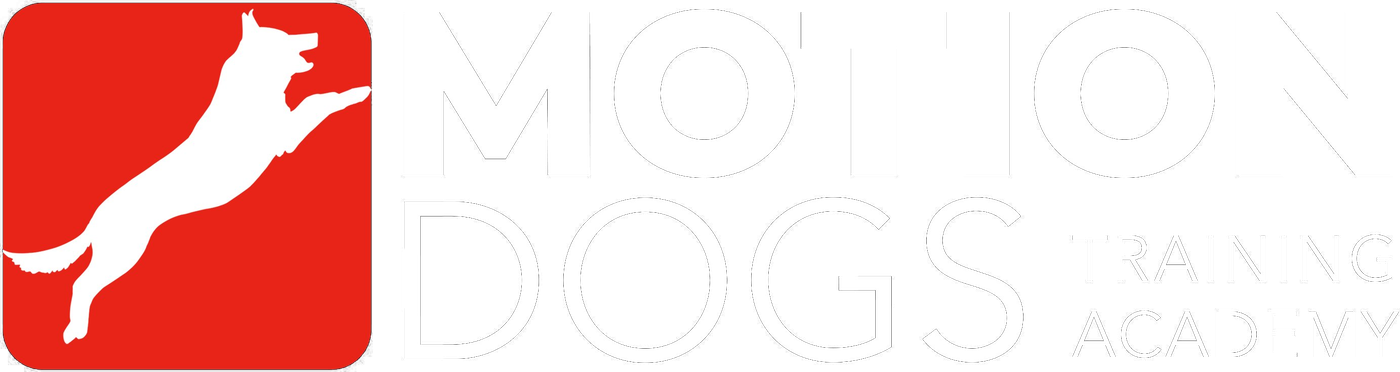 Motion Dogs Training Academy